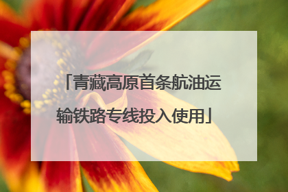 青藏高原首条航油运输铁路专线投入使用
