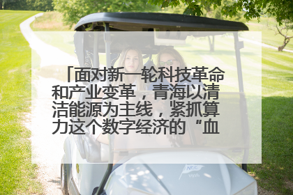面对新一轮科技革命和产业变革，青海以清洁能源为主线，紧抓算力这个数字经济的“血液”、科技主权的“筹码”、产业升级的“杠杆”、绿色转型的“支点”，勇于撬动国家“双碳”战略、“东数西算”工程重大发展新机遇