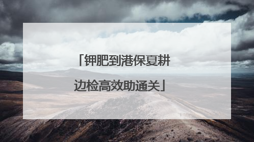 钾肥到港保夏耕 边检高效助通关