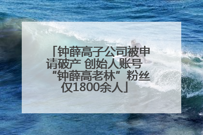钟薛高子公司被申请破产 创始人账号“钟薛高老林”粉丝仅1800余人