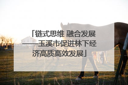 链式思维 融合发展——玉溪市促进林下经济高质高效发展