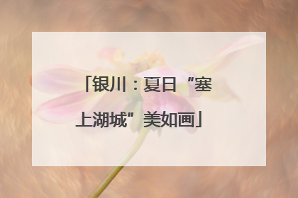 银川：夏日“塞上湖城”美如画