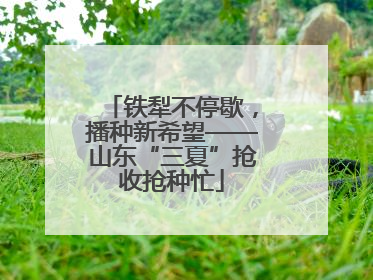 铁犁不停歇，播种新希望——山东“三夏”抢收抢种忙