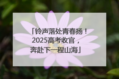 铃声落处青春扬！2025高考收官，奔赴下一程山海