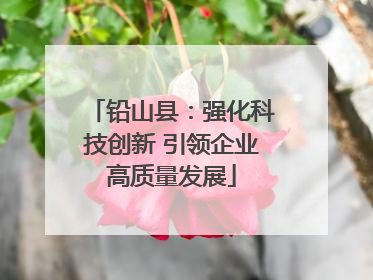 铅山县：强化科技创新 引领企业高质量发展