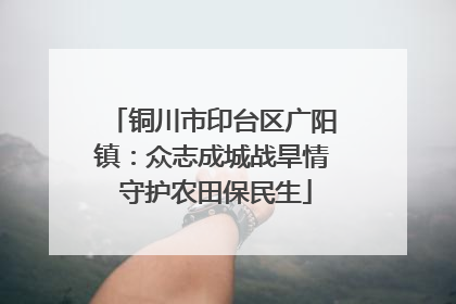 铜川市印台区广阳镇：众志成城战旱情 守护农田保民生