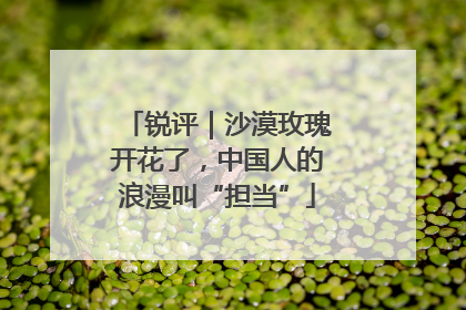 锐评｜沙漠玫瑰开花了，中国人的浪漫叫“担当”