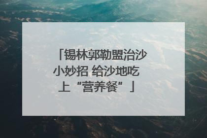 锡林郭勒盟治沙小妙招 给沙地吃上“营养餐”