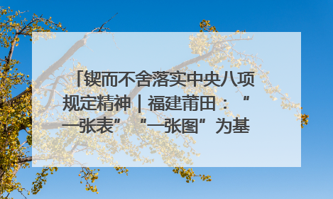 锲而不舍落实中央八项规定精神｜福建莆田：“一张表”“一张图”为基层减轻“数字负担”