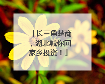 长三角楚商，湖北喊你回家乡投资！