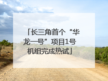 长三角首个“华龙一号”项目1号机组完成热试