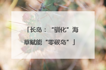 长岛：“驯化”海草赋能“零碳岛”
