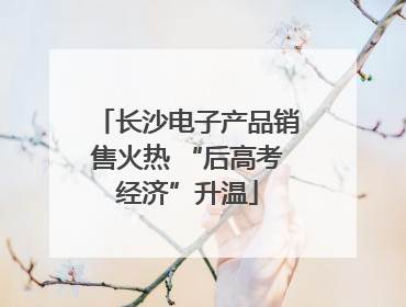 长沙电子产品销售火热 “后高考经济”升温