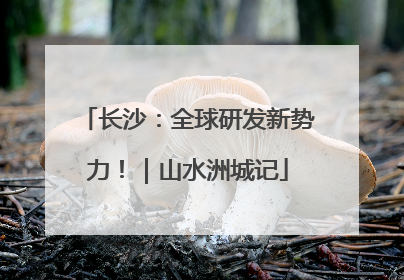 长沙：全球研发新势力！｜山水洲城记