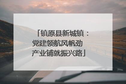 镇原县新城镇：党建领航风帆劲 产业铺就振兴路