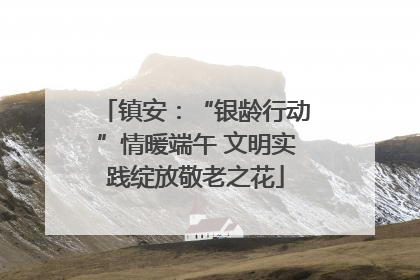 镇安：“银龄行动”情暖端午 文明实践绽放敬老之花