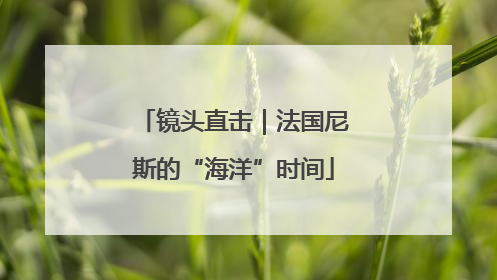镜头直击｜法国尼斯的“海洋”时间
