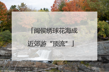 闽侯绣球花海成近郊游“顶流”