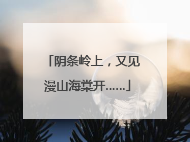 阴条岭上，又见漫山海棠开……