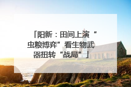 阳新：田间上演“虫粮博弈”看生物武器扭转“战局”