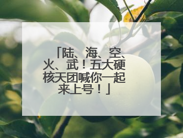 陆、海、空、火、武！五大硬核天团喊你一起来上号！