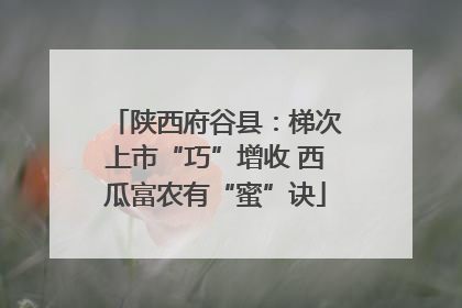 陕西府谷县：梯次上市“巧”增收 西瓜富农有“蜜”诀