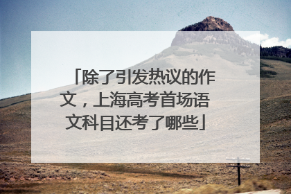 除了引发热议的作文，上海高考首场语文科目还考了哪些