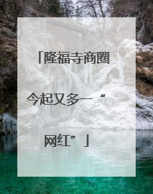 隆福寺商圈今起又多一“网红”