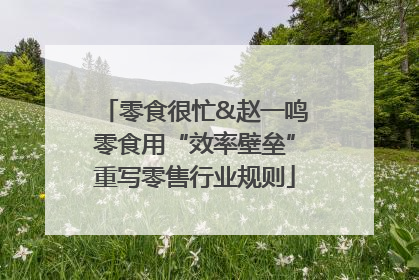 零食很忙&赵一鸣零食用“效率壁垒”重写零售行业规则