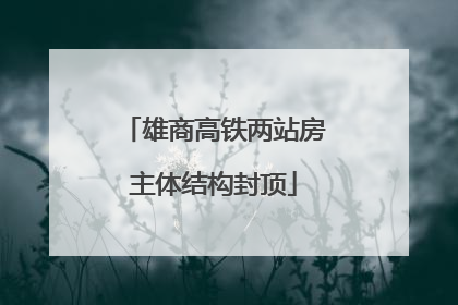 雄商高铁两站房主体结构封顶