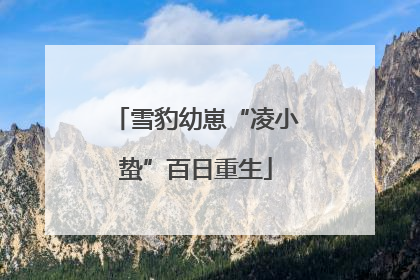雪豹幼崽“凌小蛰”百日重生