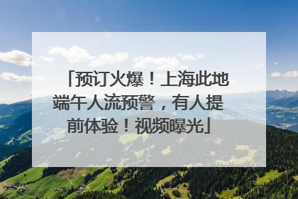 预订火爆！上海此地端午人流预警，有人提前体验！视频曝光