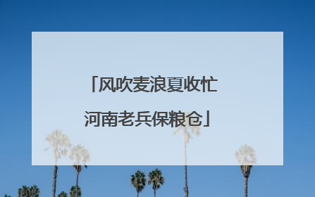 风吹麦浪夏收忙 河南老兵保粮仓