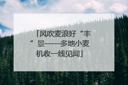 风吹麦浪好“丰”景——多地小麦机收一线见闻