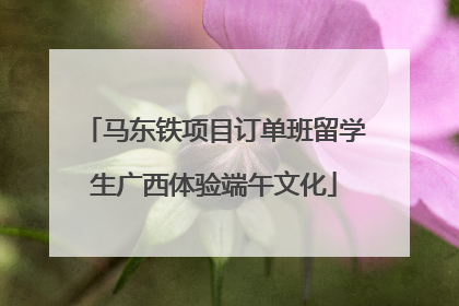 马东铁项目订单班留学生广西体验端午文化