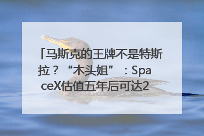 马斯克的王牌不是特斯拉？“木头姐”：SpaceX估值五年后可达2.5万亿美元！