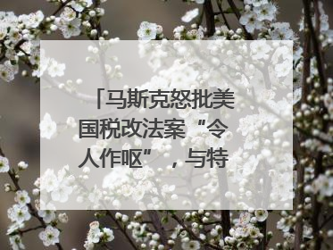 马斯克怒批美国税改法案“令人作呕”，与特朗普早生嫌隙？｜国际识局