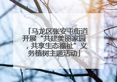 马龙区张安屯街道开展“共建美丽家园，共享生态福祉”义务植树主题活动