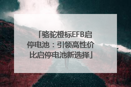 骆驼橙标EFB启停电池：引领高性价比启停电池新选择