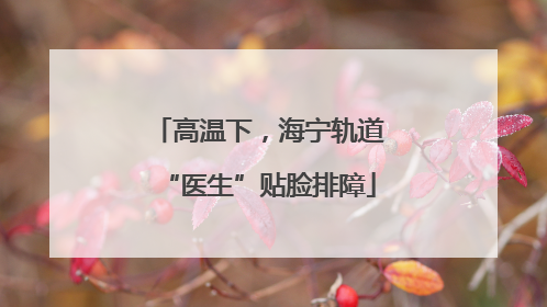 高温下，海宁轨道“医生”贴脸排障
