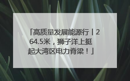 高质量发展能源行丨264.5米，狮子洋上挺起大湾区电力脊梁！