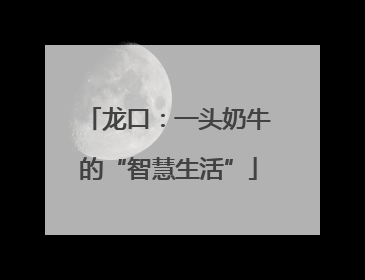 龙口：一头奶牛的“智慧生活”