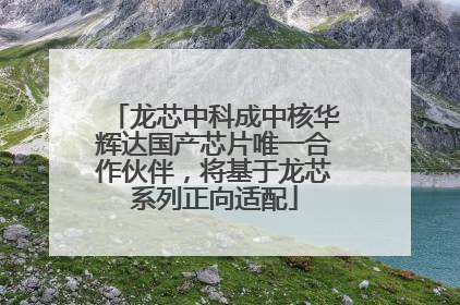 龙芯中科成中核华辉达国产芯片唯一合作伙伴，将基于龙芯系列正向适配