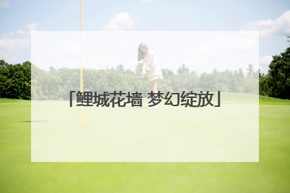 鲤城花墙 梦幻绽放