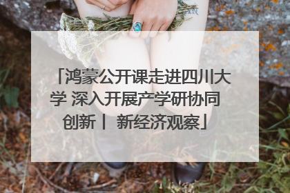 鸿蒙公开课走进四川大学 深入开展产学研协同创新丨 新经济观察