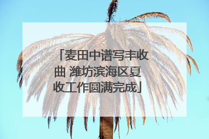 麦田中谱写丰收曲 潍坊滨海区夏收工作圆满完成
