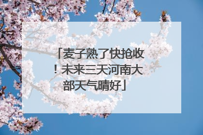 麦子熟了快抢收！未来三天河南大部天气晴好