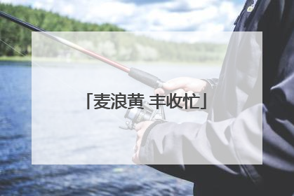 麦浪黄 丰收忙