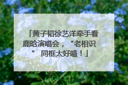 黄子韬徐艺洋牵手看鹿晗演唱会，“老相识” 同框太好嗑！