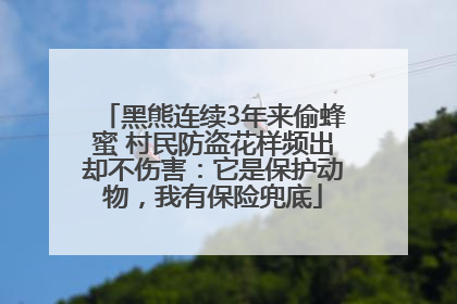 黑熊连续3年来偷蜂蜜 村民防盗花样频出却不伤害：它是保护动物，我有保险兜底